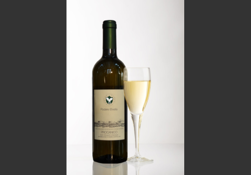procanico white DOP wine of italy
